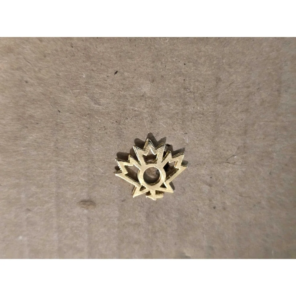 Canadian Advisory Council Status of Women Logo lapel vest hat pin E25